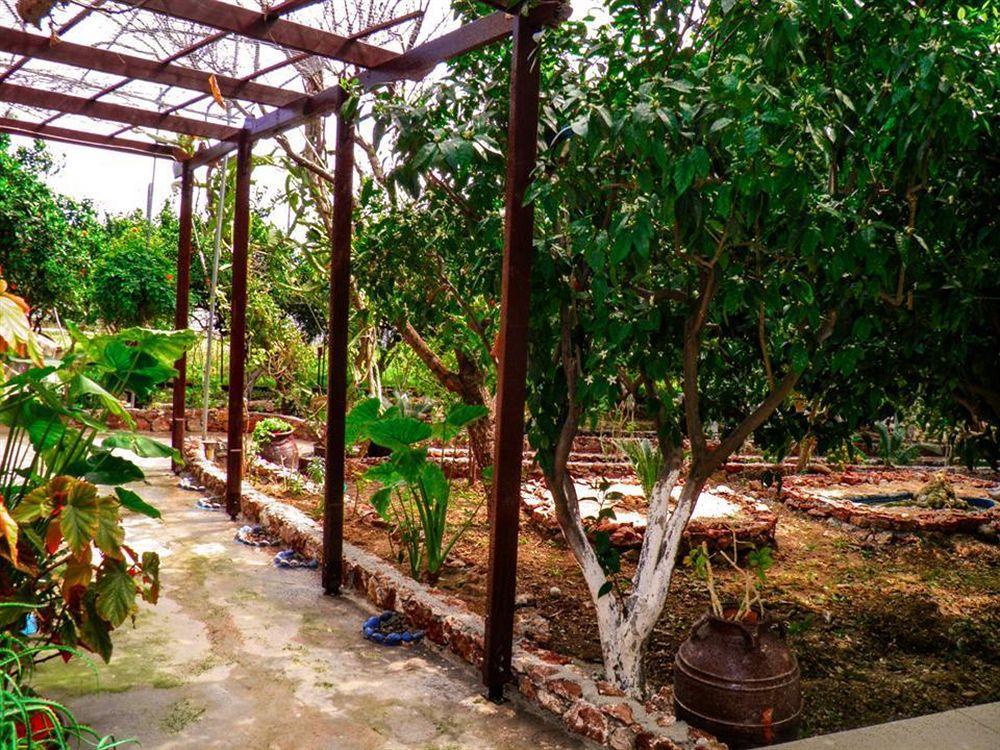 Alpha Stegna Sun Hotel Archangelos  Ngoại thất bức ảnh